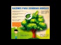 Â¿Por que es importante plantar un árbol?