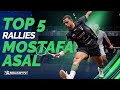 Mostafa Asal - Top Five Rallies 2024/25 🔥
