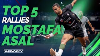 Mostafa Asal - Top Five Rallies 2024/25 🔥