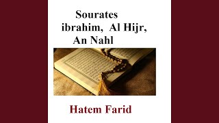 Sourate An Nahl, Pt. 2
