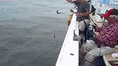 波崎浜茄子丸 アカムツ Youtube 波崎浜茄子丸 アカムツ Youtube