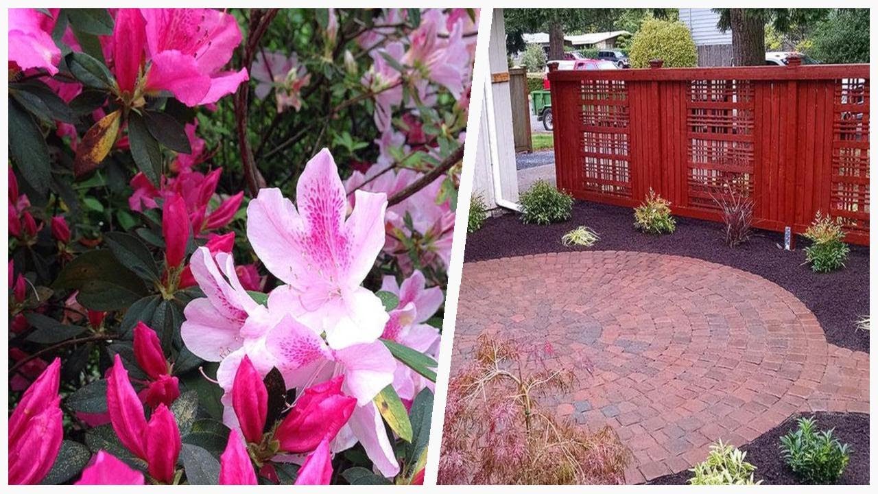75 Traditional Pink Landscaping Design Ideas You'll Love ➤