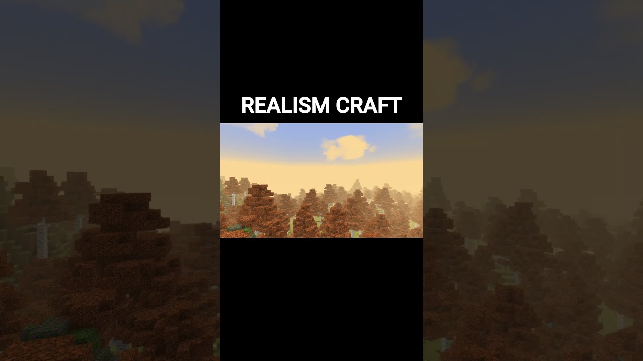 MINECRAFT vs REALISM CRAFT : birch forest  