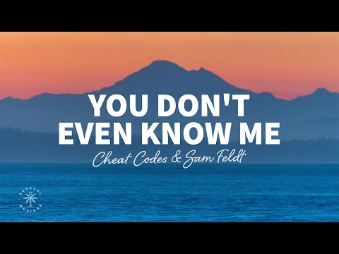 Cheat Codes, Sam