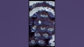 satisfying 100 dollar bill zoom #satisfying #zoom #macro #closeup #dollar #short #video