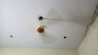 XXL XXL XXL XXL FREESTYLE 2024 XXL 2025802| Xxwd5000xa | XXL XXL XXL XXLFREESTYLES