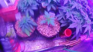Quick update