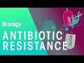 Antibiotic Resistance | Health | Biology | FuseSchool