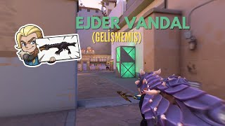 GELİŞMEMİŞ EJDER VANDAL OYNAMALISIN!