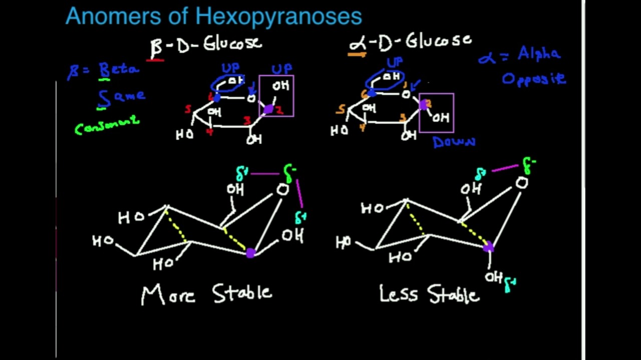 Ribose - Wikipedia