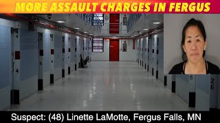 More Assault Charges In Fergus