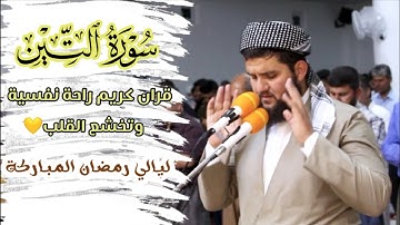 قران كريم راحة للقلب❤ سورة التين بصوت القارئ دلشاد احمد الكردي