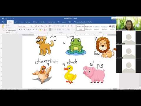 การสอน เรื่อง Animals (PVC by Teacher Namwaan)