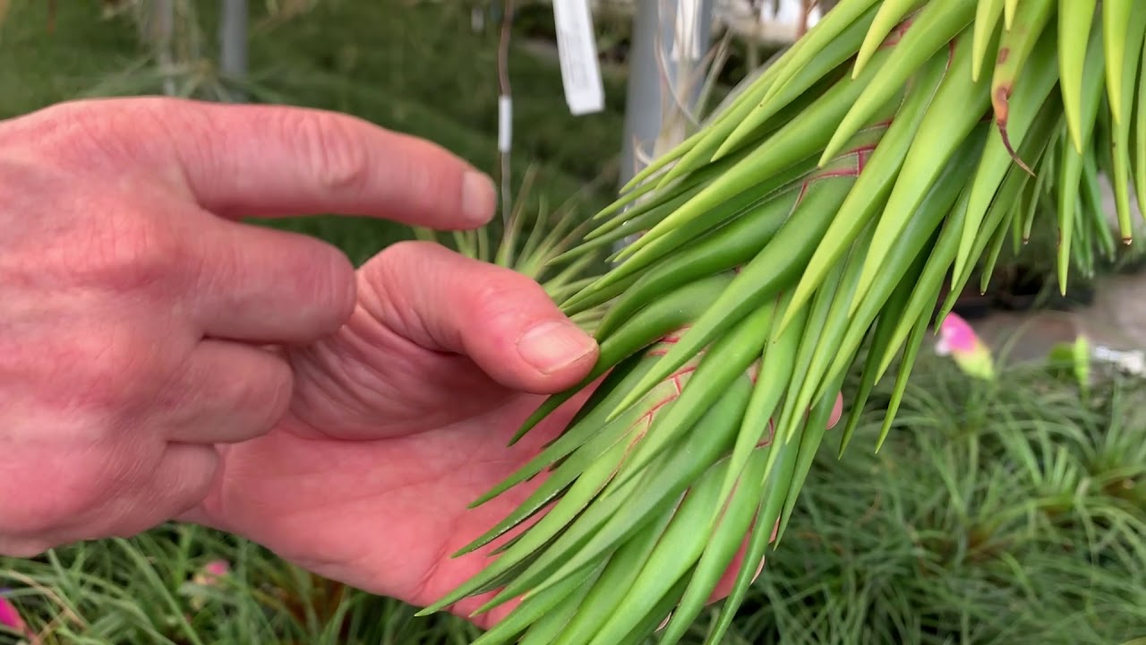 Tilly Talks: Nursery Aisle Tour