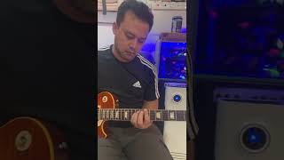 Gibson f1finetuning
