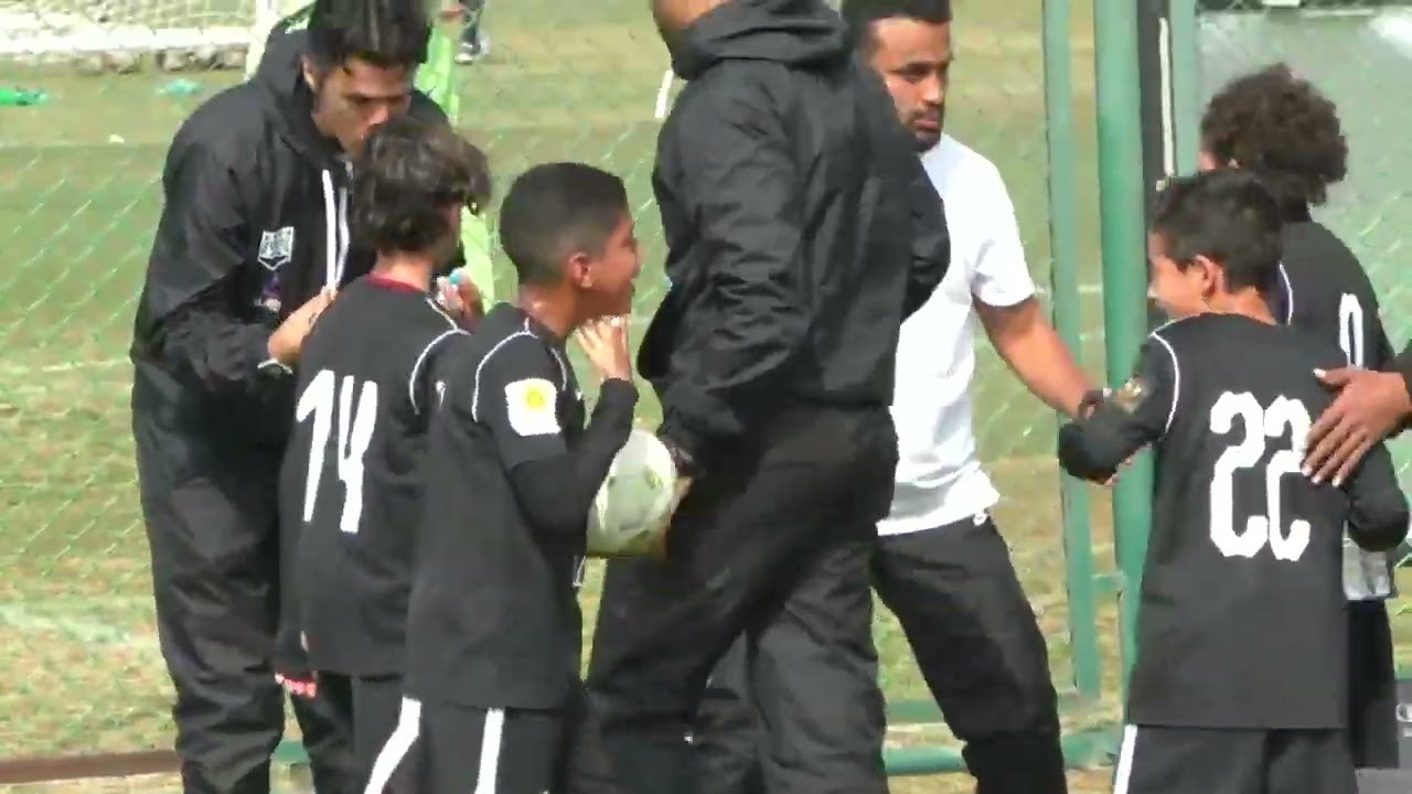 زد والزمالك2012