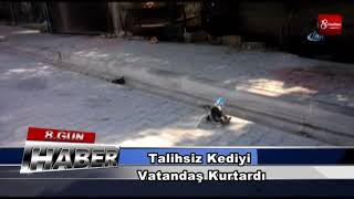 Kafasına Cips Poşeti Takılı Kalan Kediyi Vatandaş Kurtardı 8Gunhaber