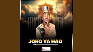 Download Lagu JOKO YA HAO (Original) MP3