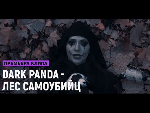 DARK PANDA - ЛЕС САМОУБИЙЦ (премьера клипа, 2017)