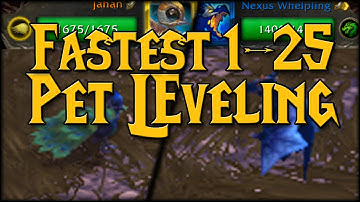 Fastest 1-25 Pet Battle Leveling!