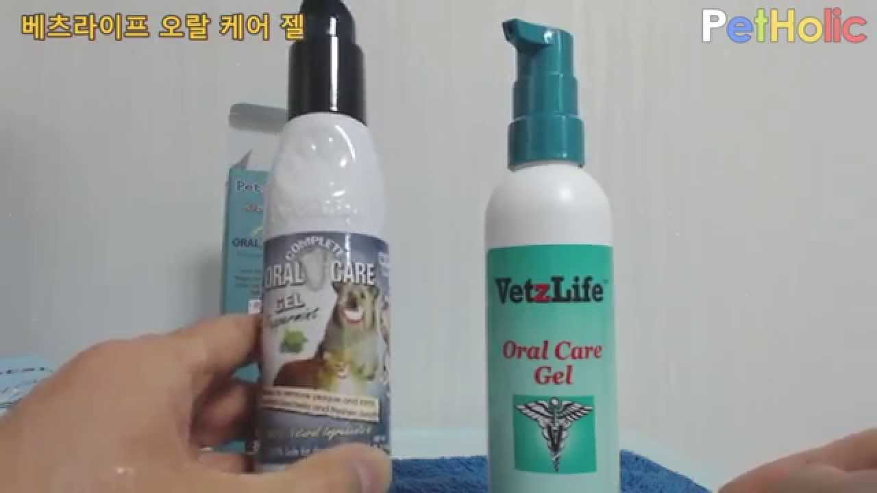 [강아지 치약 & 치석 제거제] PetzLife VetzLife Oral Care Gel YouTube