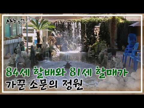 The rumored garden cultivated by an 84-year-old grandpa and an 81-year-old grandma, MBN broadcast...