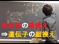 染色体の乗換え・遺伝子の組換え　高校生物