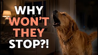 Why Do Dogs BARK at NIGHT? ๐ถ๐ 7 Real REASONS You Shouldnโt Ignore + SOLUTIONS!
๐ Why do DOGS BARK AT NIGHT and suddenly become more active after dark? If your dog barks, howls or reacts to things you canโt see, this AnimalWised video explains the real reasons behind NIGHTTIME DOG BARKING.
๐น Check out these related videos:
https://www.youtube.com/watch?v=a6OaDUMq8pE
https://www.youtube.com/watch?v=SnZL9czLHdg
https://www.youtube.com/playlist?list=PLiBNYg2Iy6e9cOj1z1D1JOlKiwcgv2-sg
๐ถ Dogs are naturally more alert at night, and barking can be triggered by INSTINCT, NOISES, ANXIETY, TERRITORIAL BEHAVIOR or even BOREDOM.
๐ Subscribe for more DOG BEHAVIOR EXPLAINED and PET TRAINING TIPS.
#WhyDoDogsBarkAtNight #DogBarkingAtNight #DogBark #AnimalWised Why Do Dogs BARK at NIGHT? ๐ถ๐ 7 Real REASONS You Shouldnโt Ignore + SOLUTIONS!