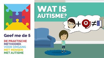 Gefragmenteerd informatie verwerken bij autisme