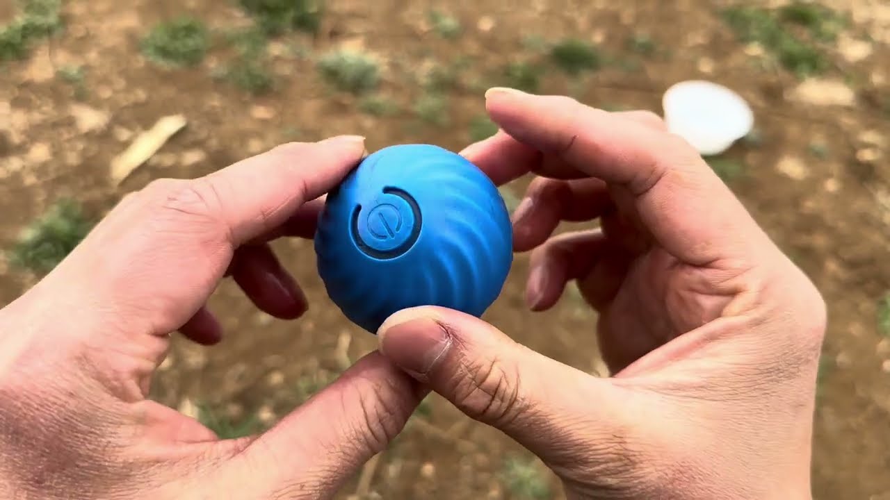 Dog Toy Review: My dogs love this Vibrating Ball Toy!