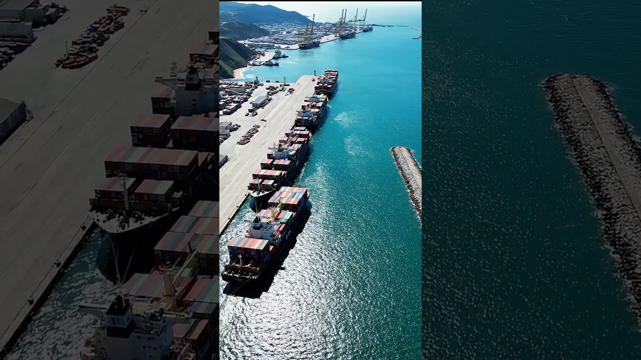 Why Global Shipping Delays Don’t Collapse Supply