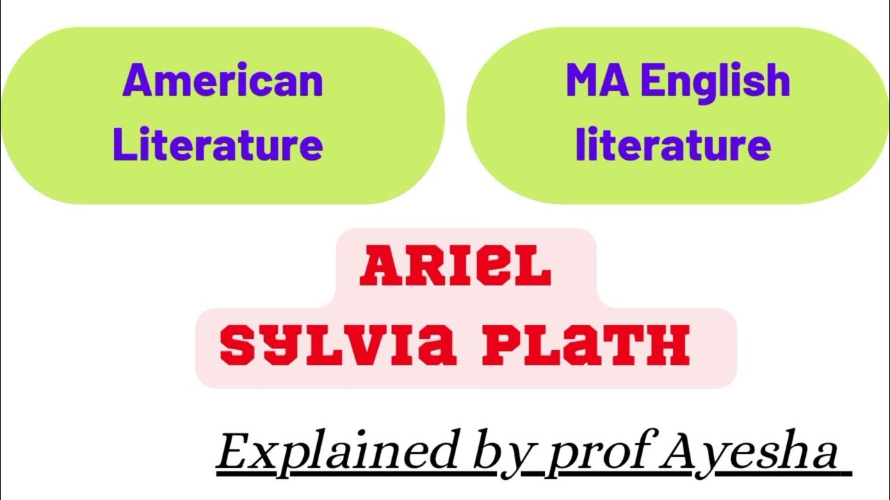 ariel-by-sylvia-plath-summary-and-critical-appreciation-in-hindi-urdu