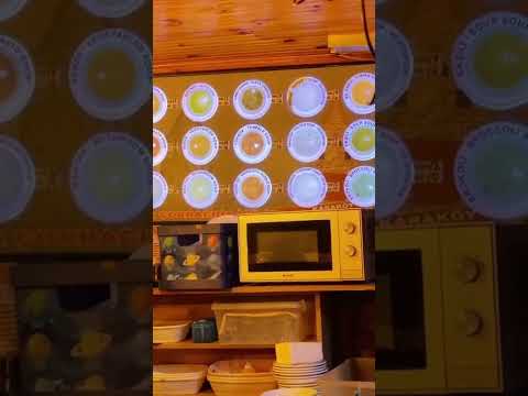 مطعم للشوربة فقط في كراكوي اسطنبول     