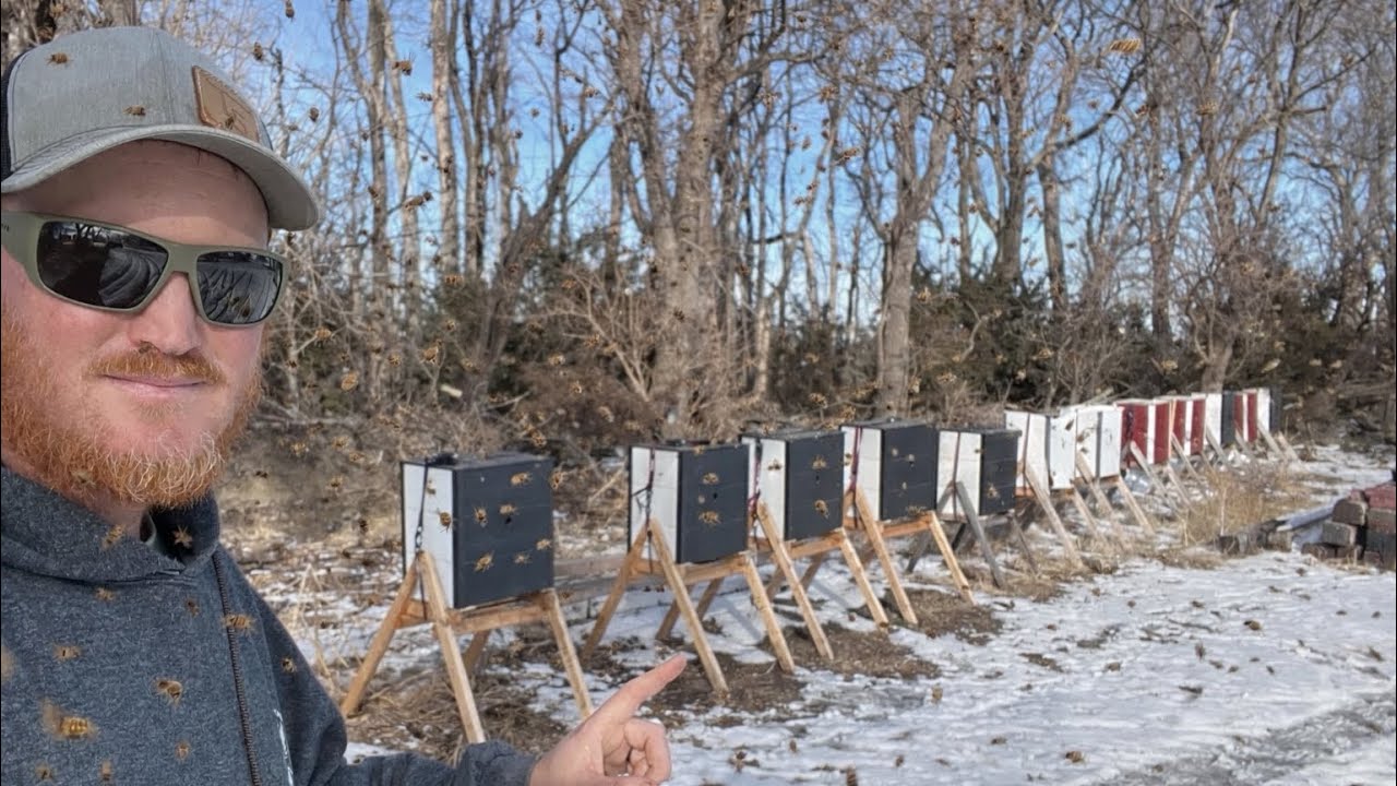 Winter Time Bee Keeping!