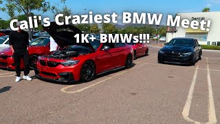 Took My Audi To Bimmerfest San Diego Bimmerfest 2021
