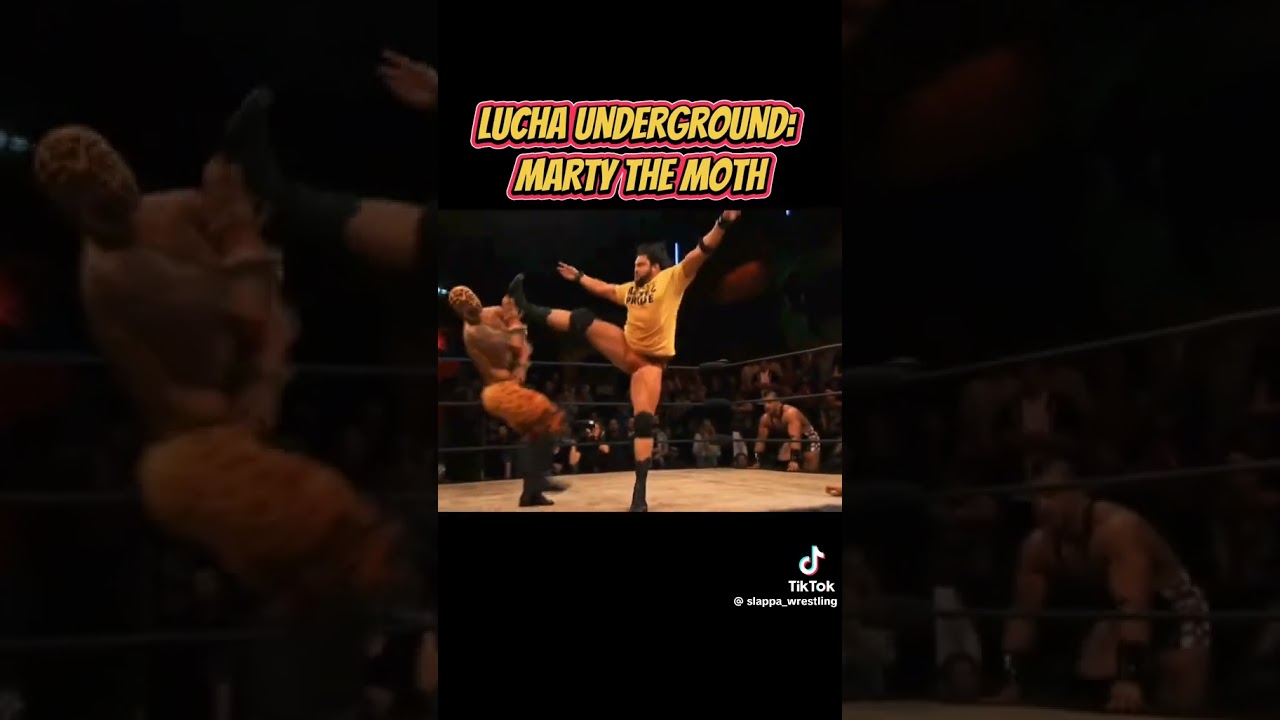 marty the moth martinez