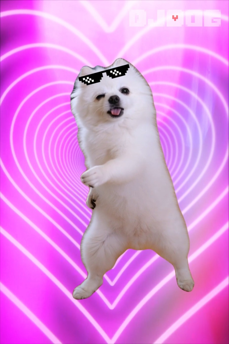 Uploads from DJ DOG - YouTube