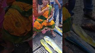 Fishes selling by bidding in fish market best deal