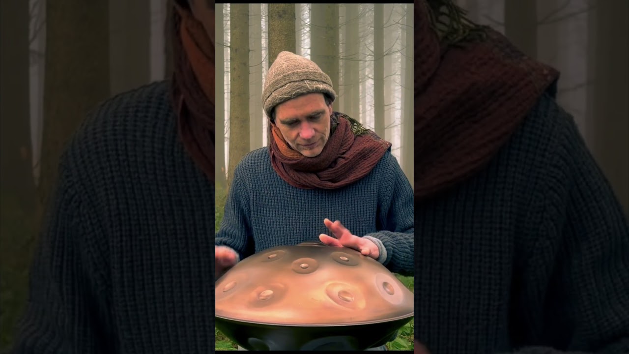 In to the woods #handpan #shorts