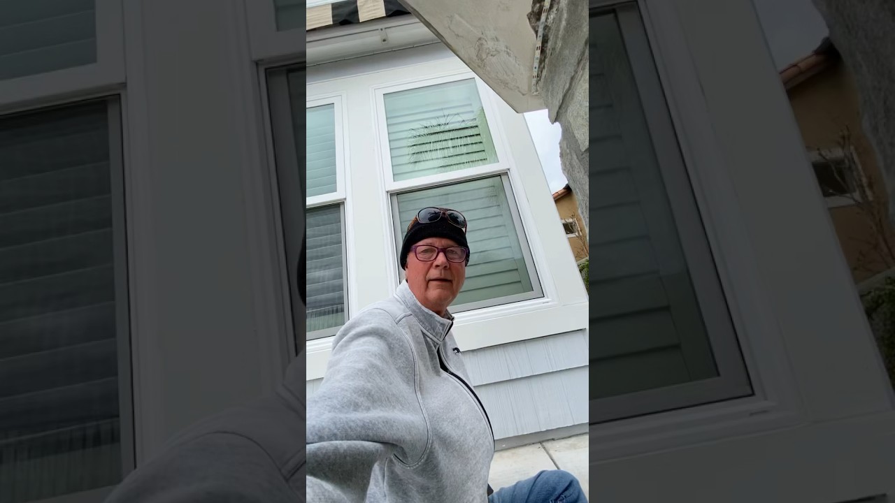 PALLID-WINGED GRASSHOPPER Trimerotropis pallidipennis Coto de Caza, CA 