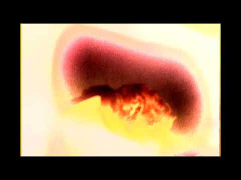 Tamaryn - Love Fade (Official Video)