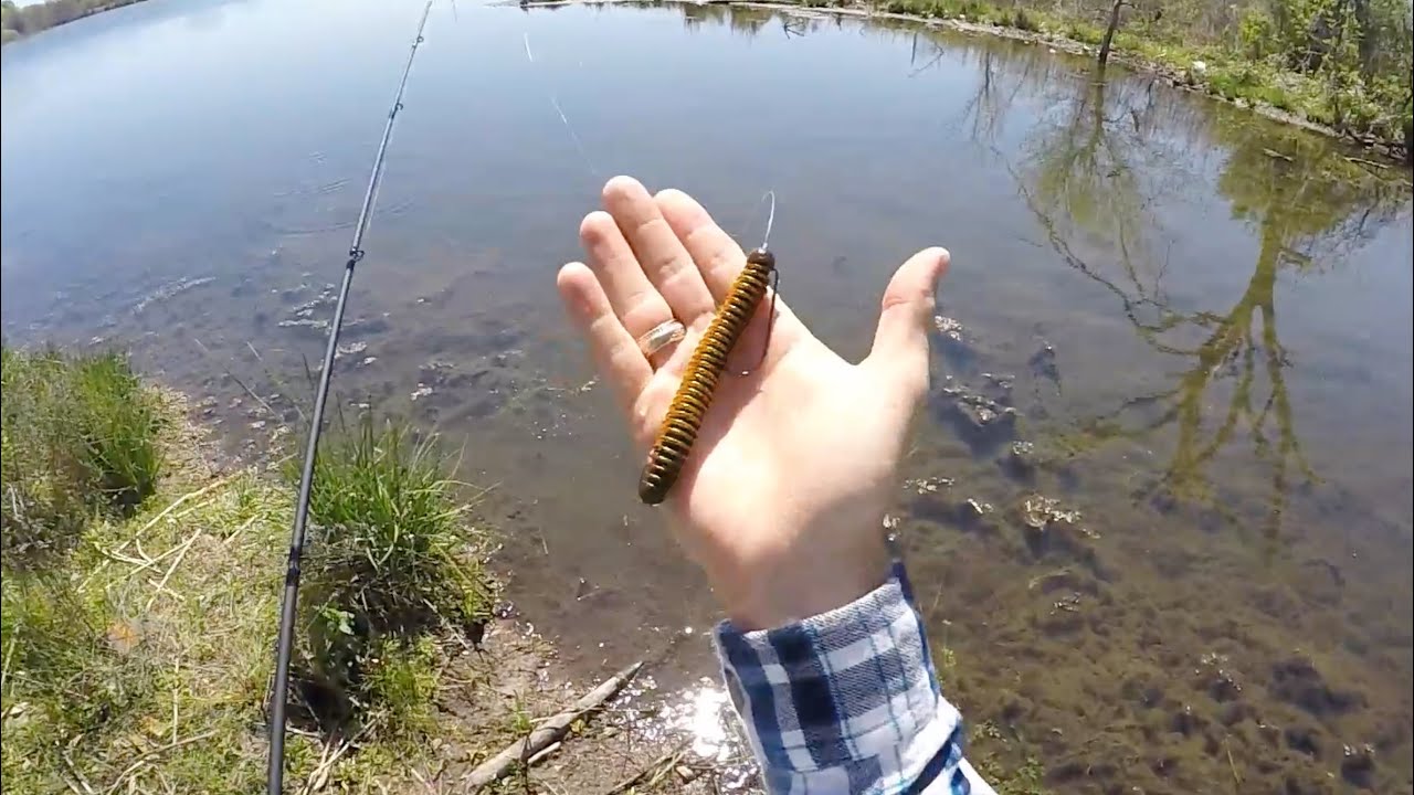 Watch Bass Pond Spring Spawning Tactics Video on