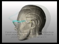 Protective Glasses with Ear plugs Protective Glasses with Ear plugs