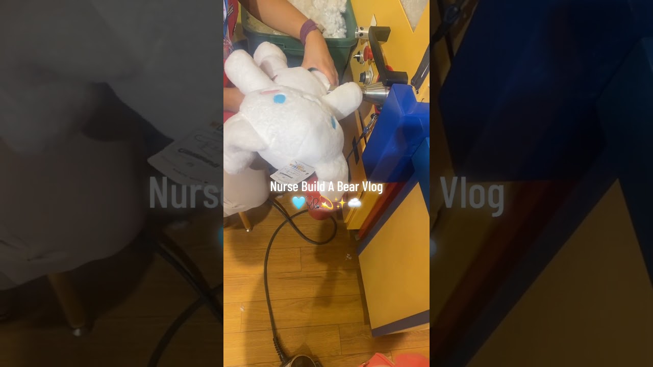 Nursing Grad Build A Bear Teddy Bears 