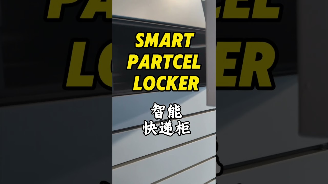 Smart Parcel Locker for the package delivery self-service 