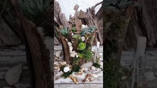 Diy Minigarten🌸#dekoideen#diy #natürlichdekorieren#diyprojects #diydeko#garden#dekoliebe #flowers