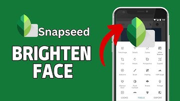How to Brighten Face in Snapseed 2024?