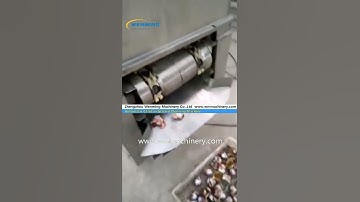 Automatic Chiken gizzard open machine Gizzard Opening processing machine