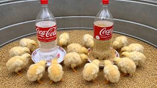 هتوفر فلوس وعلف ومجهود وتعب كتير بفكرة بسيطة جدا ومش هتكلفك جنية 🐥🐓