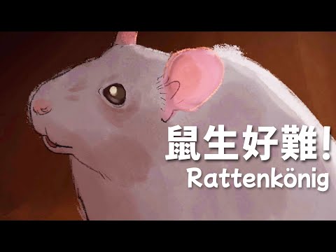 鼠生太難了！短短的故事..大大的痛苦！【阿津】鼠王 Rattenkönig 恐怖悲傷遊戲